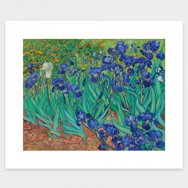 Iris | Schwertlilien von Vincent van Gogh