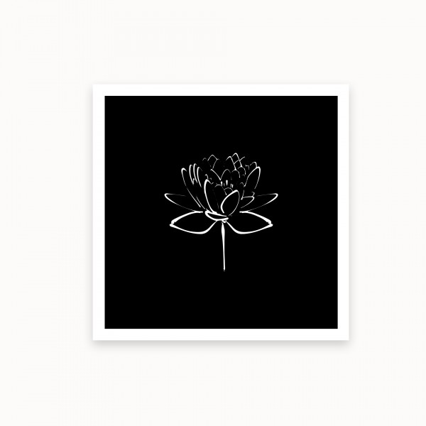 Lotus II | White on Black | mirandolo basics