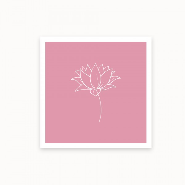 Lotus I | Mauvelous | mirandolo basics