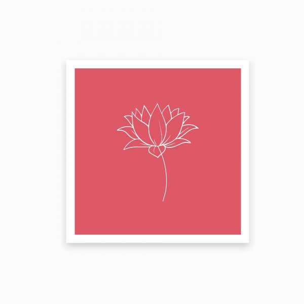 Lotus I | Karminrosa | mirandolo basics