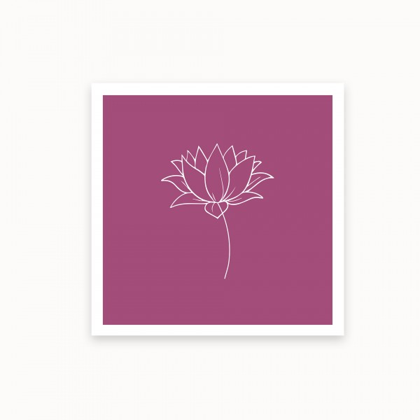 Lotus I | Lila | mirandolo basics